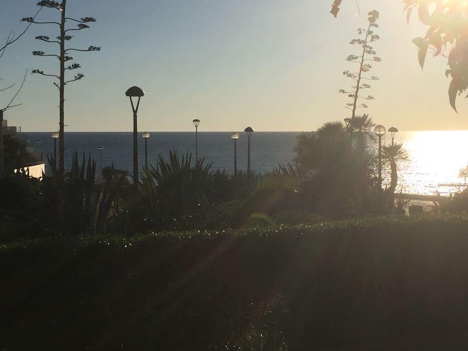 Full ocean views- u can hear the waves