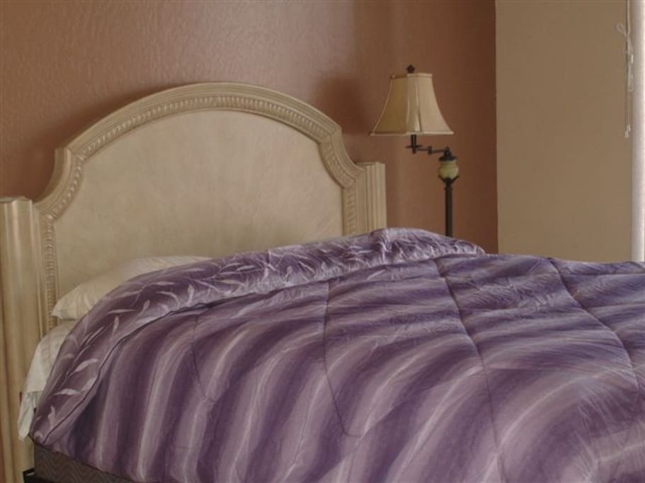 Super comfortable pillow top mattress in master bedroom with comfortable queen bed, comforter, and TV