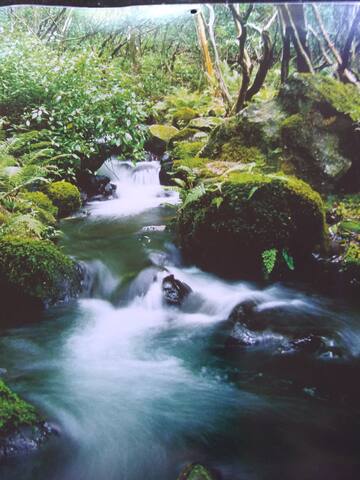 This is it! Dreamy Beach, Amazing Views & Location gallery image 3