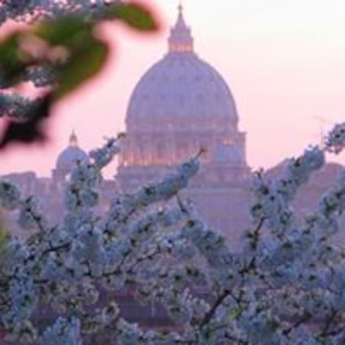#San Pietro a primavera