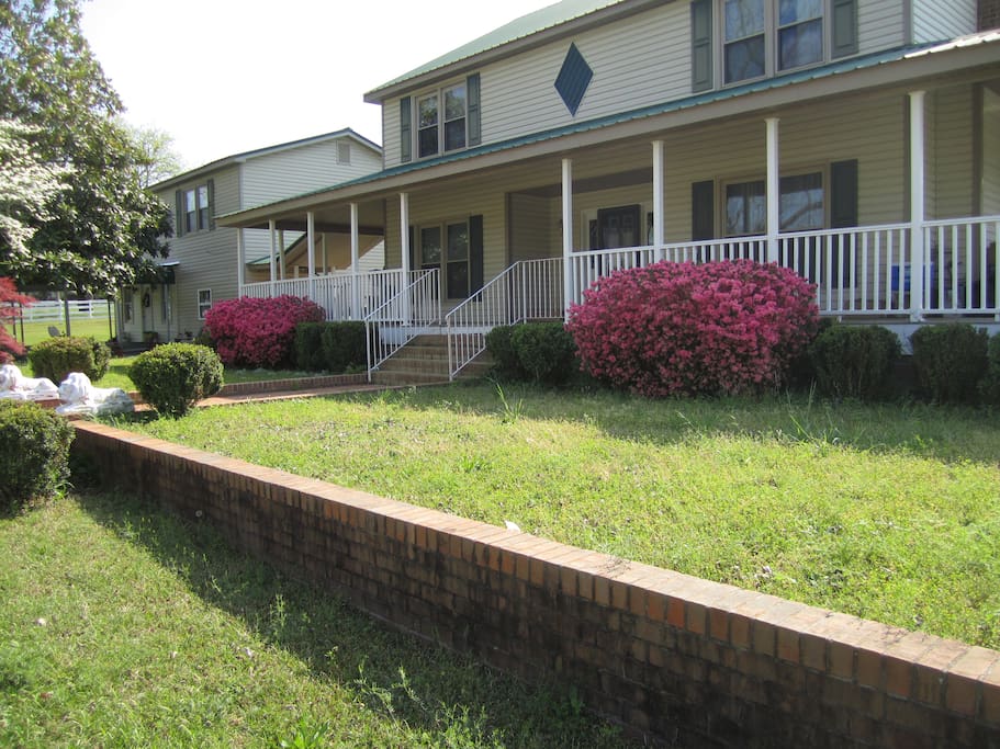 Front yard