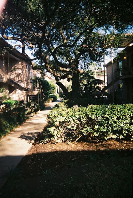 Grounds