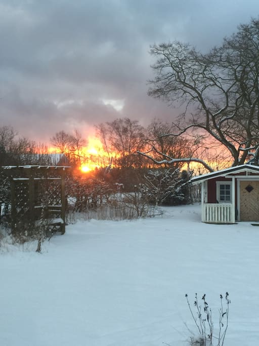 Winter sunrise from the living room window