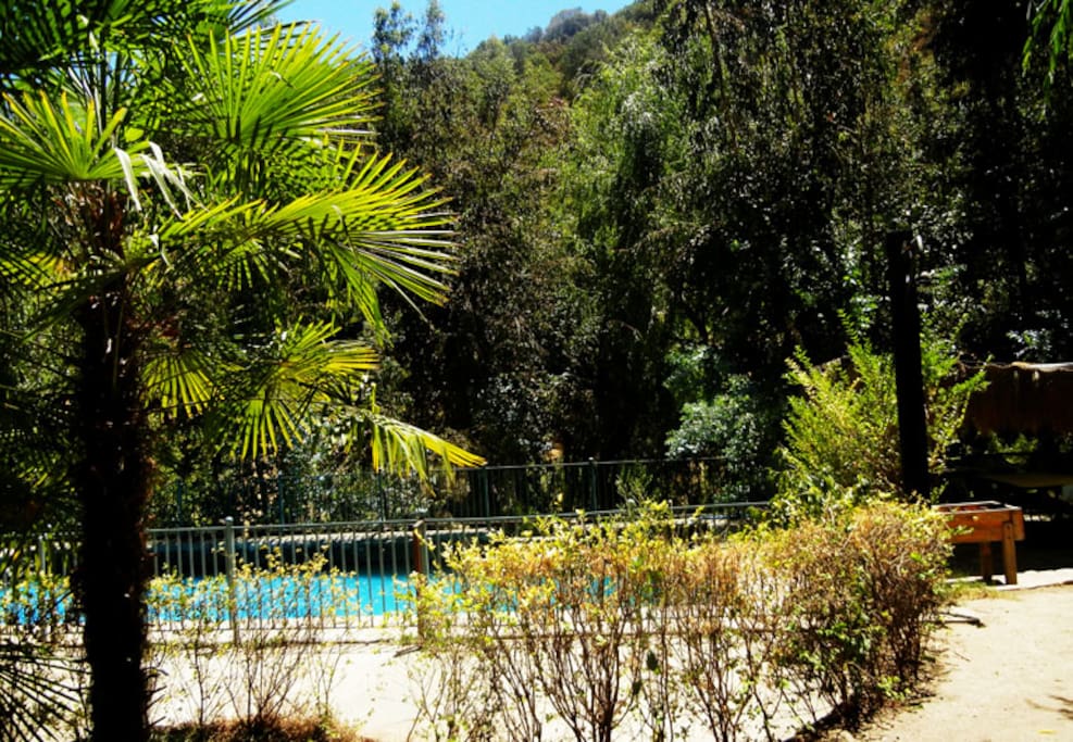 Campo, naturaleza, piscina ideal para disfrutar en familia
