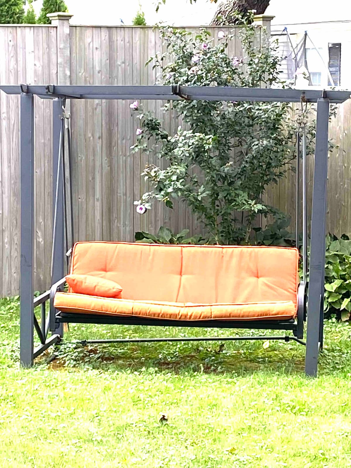 A swing with an orange cushioned seat is situated in a lush green yard. The swing is supported by a sturdy dark frame and is surrounded by various plants and a wooden fence, providing a comfortable outdoor relaxation space.