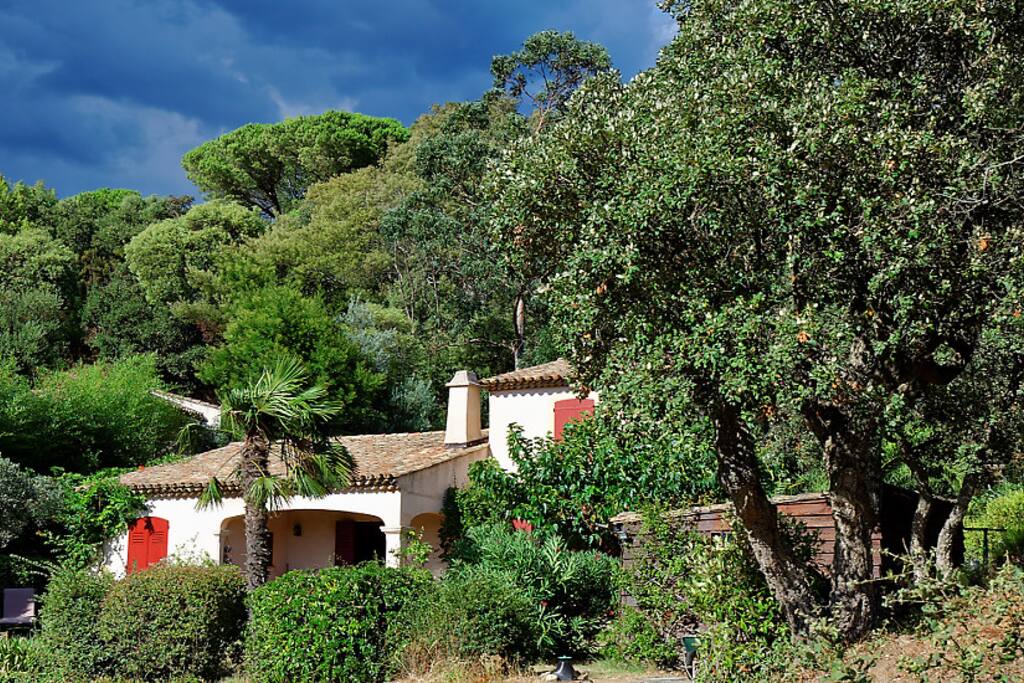 La maison dans la verdure. The house in the green
