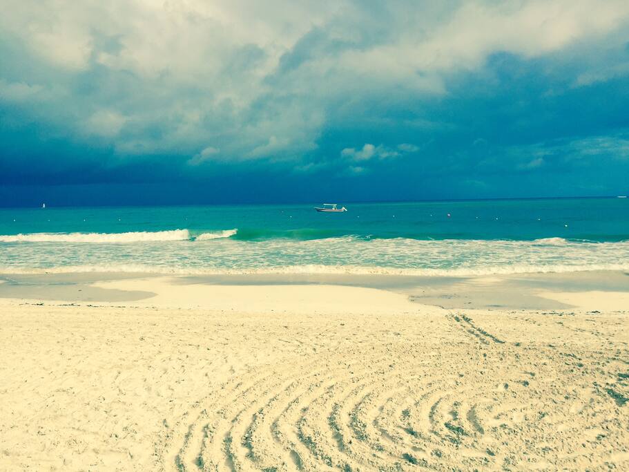 Beach