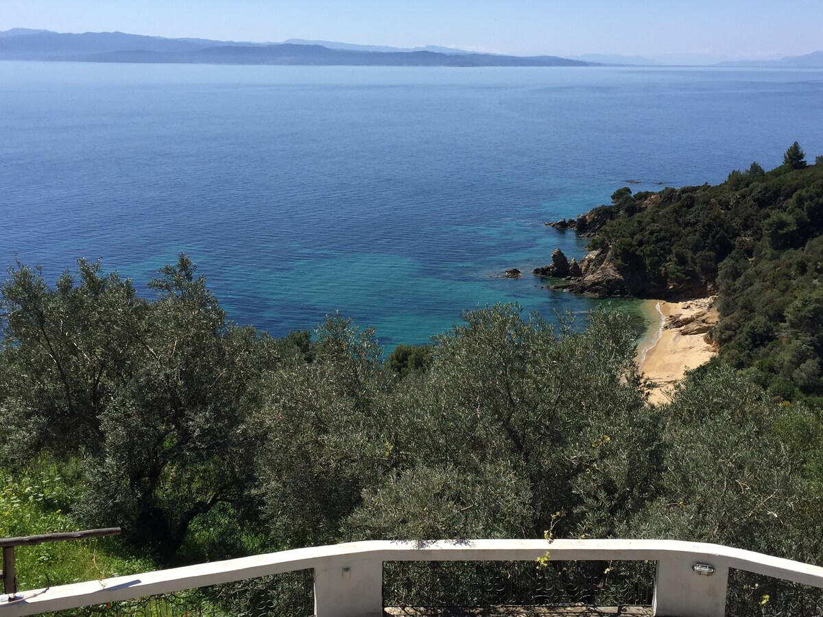 Stunning views of the Aegean Sea are presented from the villa's terrace. The tranquil, clear waters contrast with the lush greenery of the surrounding olive trees, leading to a secluded sandy beach below. Gentle hills can be seen in the distance, enhancing the serene landscape.