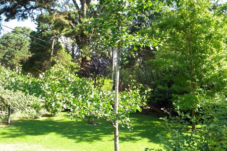 cEstudio equipado 3, con servicios y desayuno