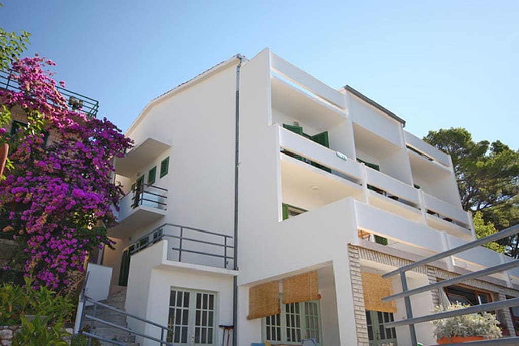 THE HOUSE