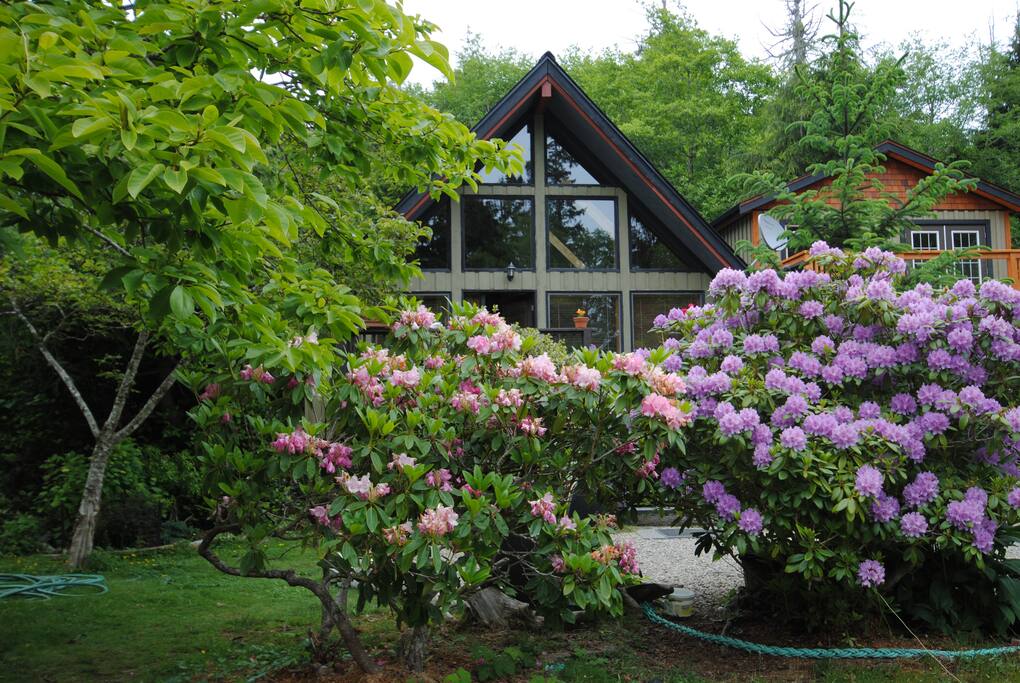 Hacienda from garden