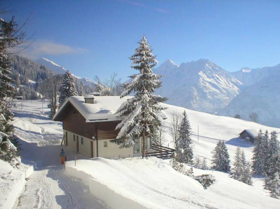 Blick nach SE zum Grimsel