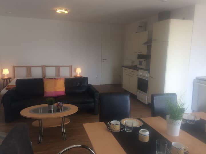 3-raum-apartment Am Uniklinikum Mit Balkon - Münster