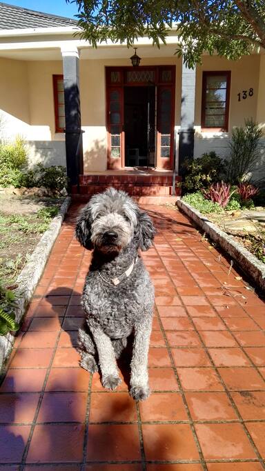 Molly sometimes visits this property