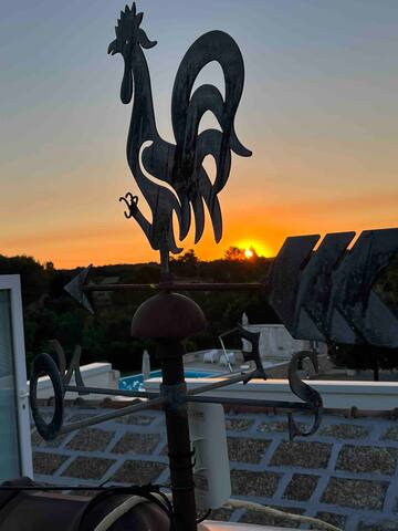 Domus 66 – Luxury Villa – Heated Pool gallery image 4