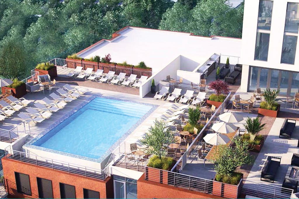 Rooftop Pool