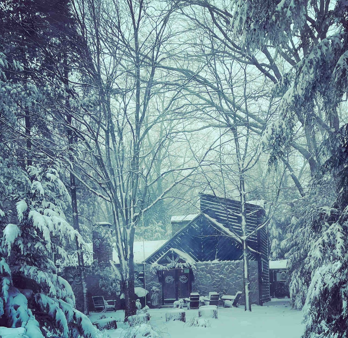 A charming cottage is nestled among snow-covered pine trees, with a stone exterior visible through the wintry landscape. The roof showcases a distinct vaulted design, while a peaceful seating area with chairs is surrounded by a blanket of snow, creating a serene winter scene.