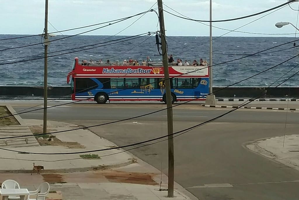vista al malecon habanero y el Bus Turistico a solo 50 metros.