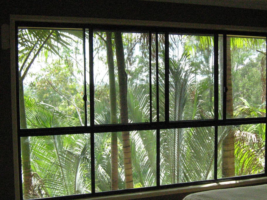 Tropical feel and views.
