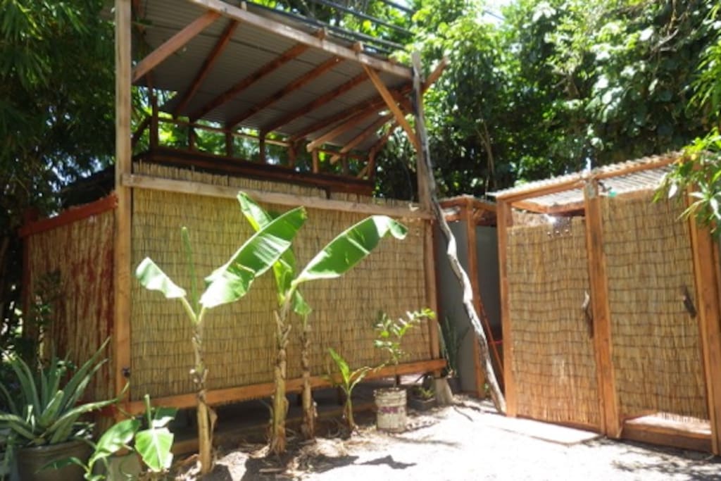 Bannana trees growing right out front, Brand new shared bathroom also outside unit also.