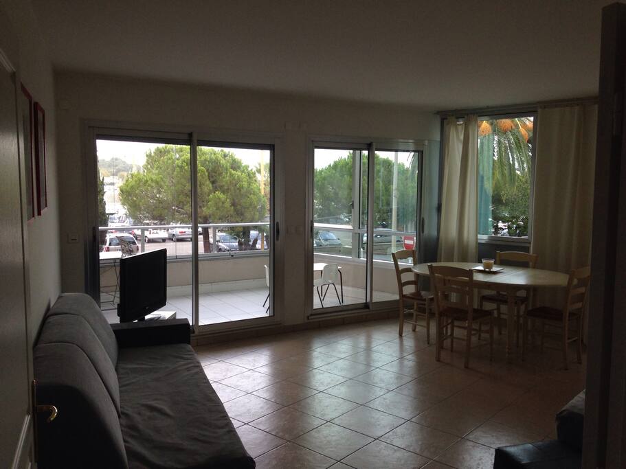 Grand salon tres lumineux avec deux canape-lits ( il s'agit de deux vrais lits simples de 90cm) Il y a la climatisation ainsi que des doubles vitrages