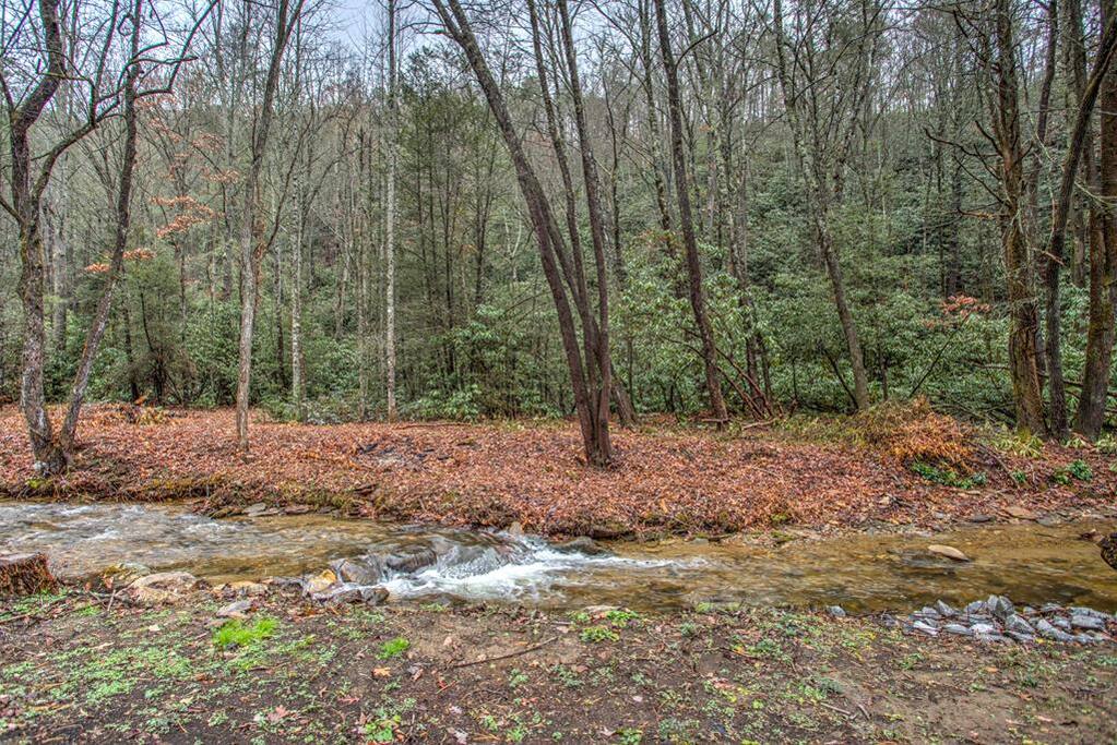 Turkey Creek
