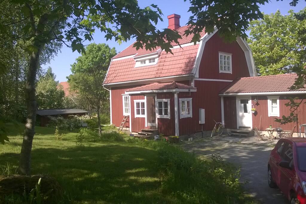 Garden.