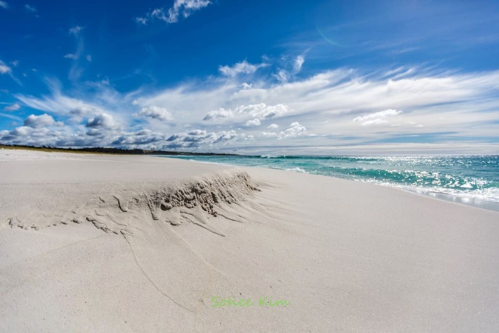 "North Shelly Beach House" Houses for Rent in Beaumaris, Tasmania