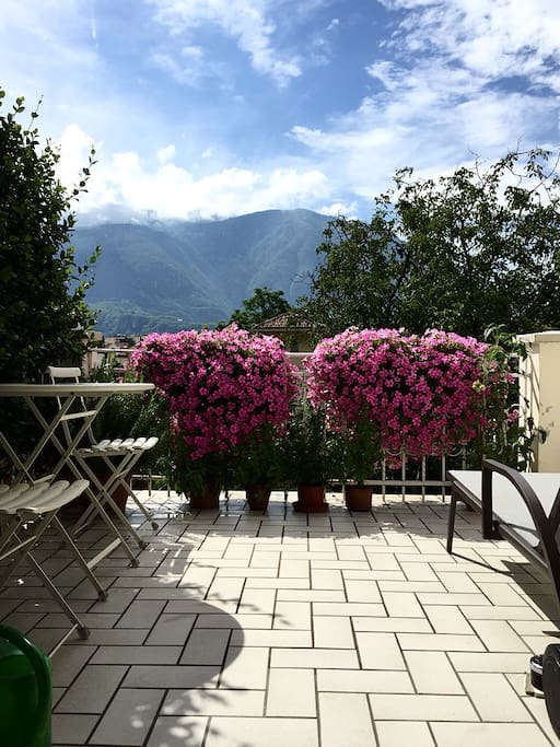 View from Balcony