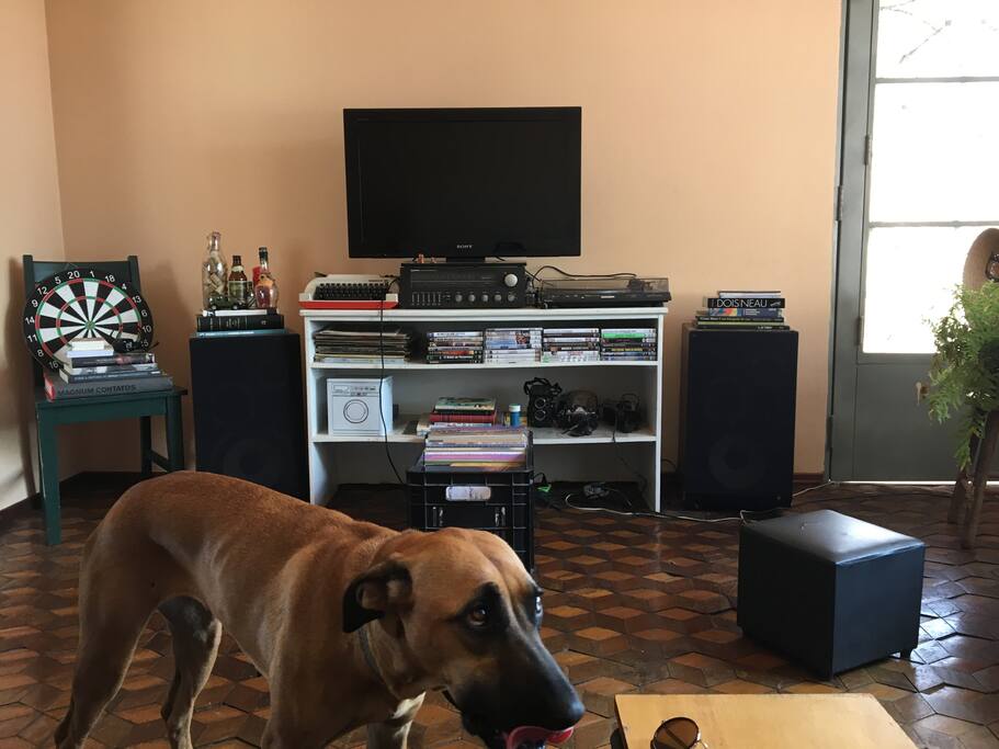 Outro ângulo de sala de estar e Olívia