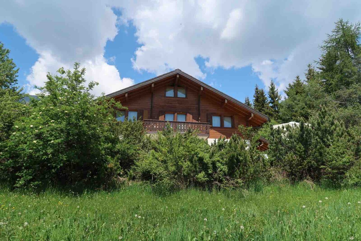 The chalet's exterior is surrounded by lush greenery, showcasing wooden balconies and large windows. The sloped roof complements the natural surroundings, while the clear blue sky and scattered clouds enhance the peaceful ambiance of the location.