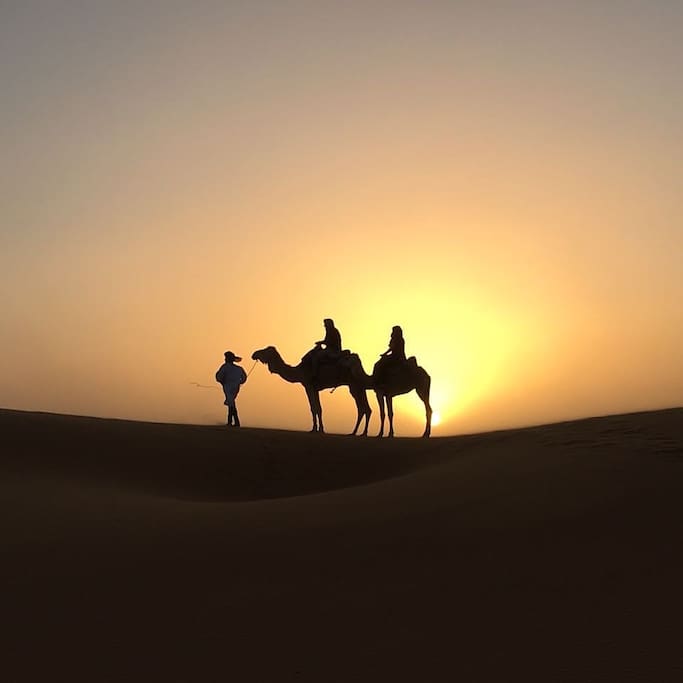 Sunset and camel riding