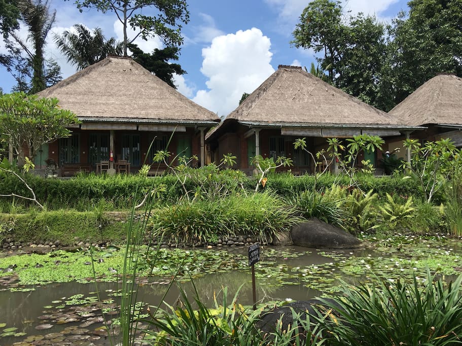 Totally 6 rice terrace suites available