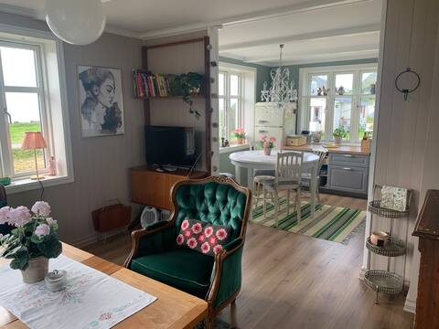 Top Airbnb: House on Nøss. Sea view, beach and mountains. Electric ladder in Andøy