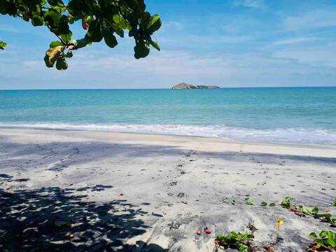Beach Front Paradise!