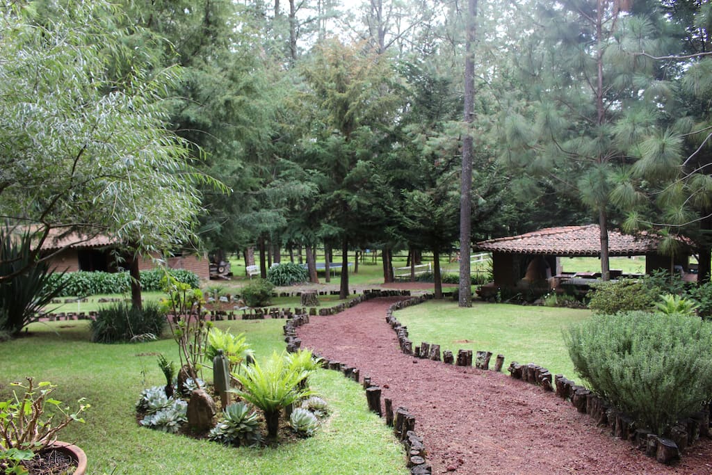 Camino al kiosco.