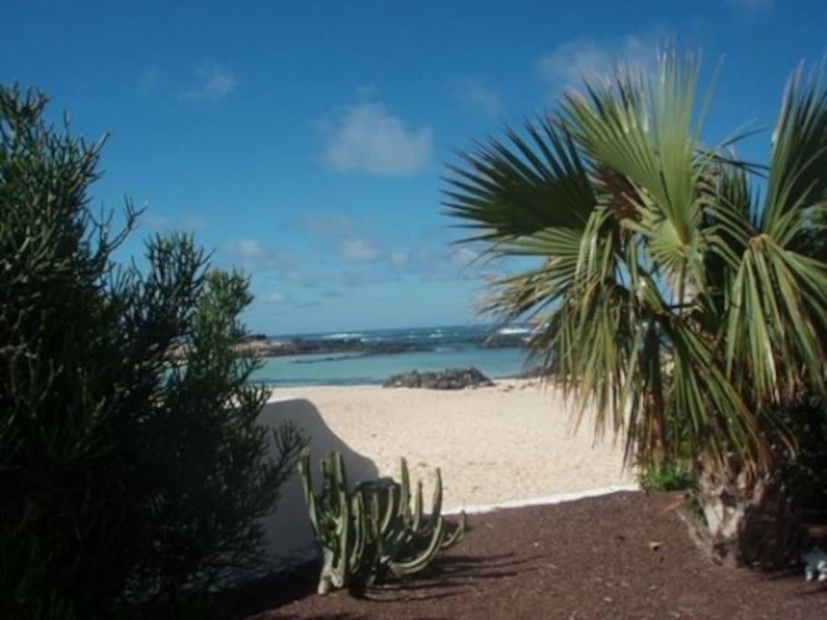 The beach from the terrace