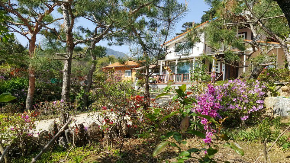 A charming retreat is surrounded by lush greenery and vibrant flowers, including blooming pink and purple azaleas. The building features a welcoming front porch, and a pathway is lined with natural landscape elements, creating a serene environment.
