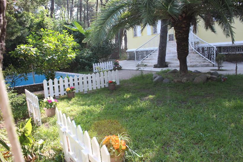 A tranquil garden area is framed by a white picket fence, featuring potted flowers set against lush greenery. A palm tree provides shade, while a glimpse of a blue pool is visible in the background. Steps lead up to the entrance of the house.