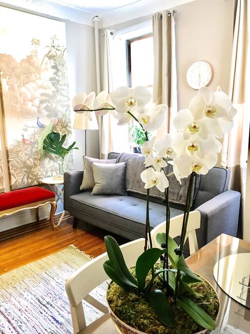 Stylish living area