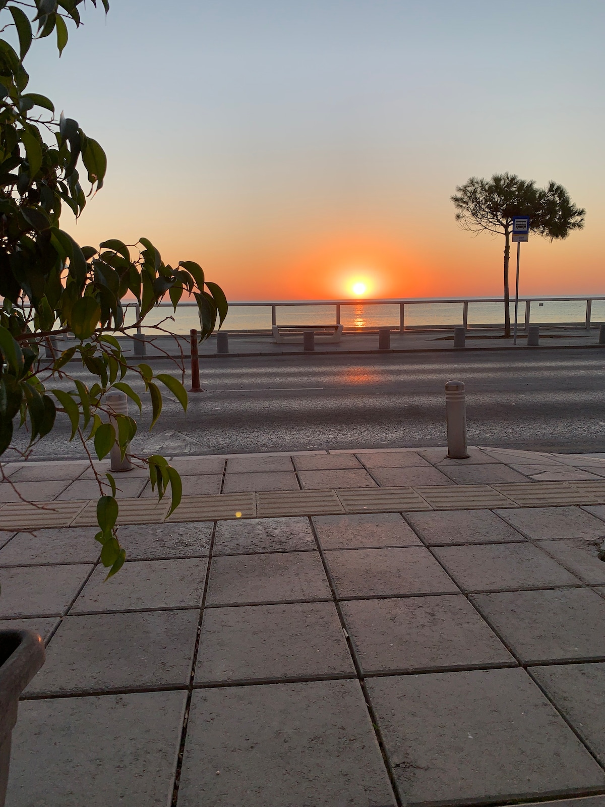 The image captures a serene sunset over the sea, with vibrant hues of orange and yellow blending into the horizon. A leafy plant is visible in the foreground, with a promenade and a gentle slope leading to the coast. A clear view of the water reflects the sunset's colors.