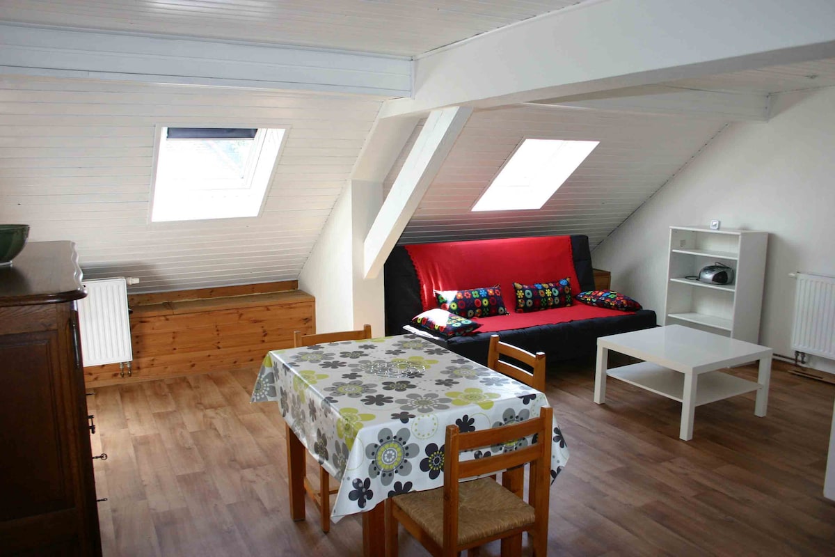 An open living space features a sloped ceiling with two skylights allowing natural light to enter. A table with a floral design is surrounded by wooden chairs. A black sofa bed adorned with colorful cushions sits opposite a minimalistic white coffee table and storage unit.