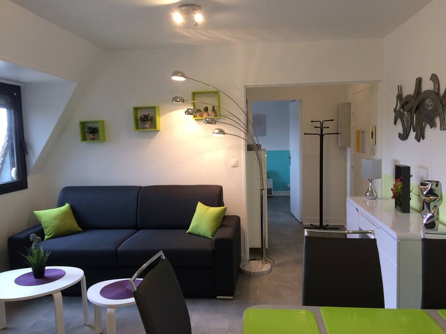 Séjour avec canapé rapido convertible 2 personnes 160 cm avec vrai matelas et sommier à lattes en bois. Volets roulants. Télévision orientable. Radio réveil.