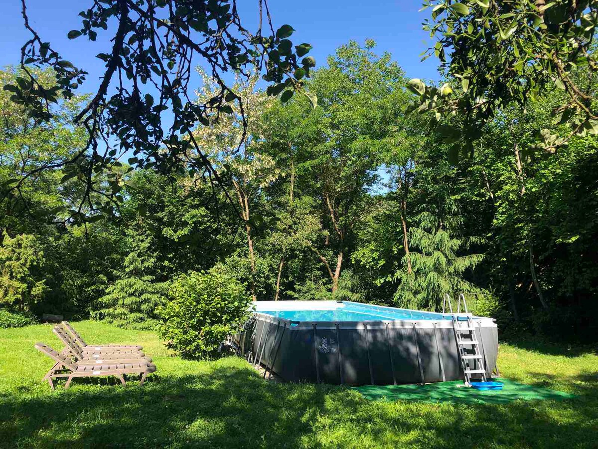 An inviting above-ground pool is surrounded by lush greenery, with tall trees providing shade. Sun loungers are positioned nearby on a grassy area, offering a serene setting for relaxation. Natural light filters through the leaves, enhancing the tranquil atmosphere.