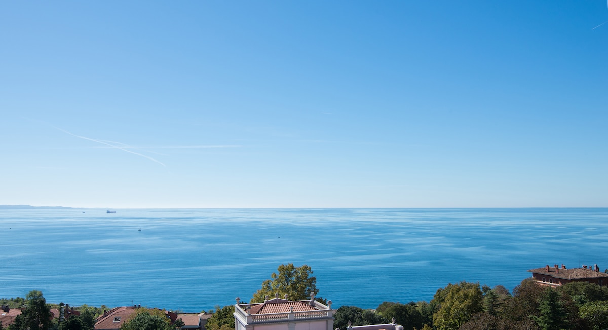 An expansive view of the sea is captured, showcasing calm, reflective water under a clear blue sky. The horizon blends seamlessly with the ocean, while lush greenery and rooftops are seen in the foreground, providing a contrast to the tranquil waters.