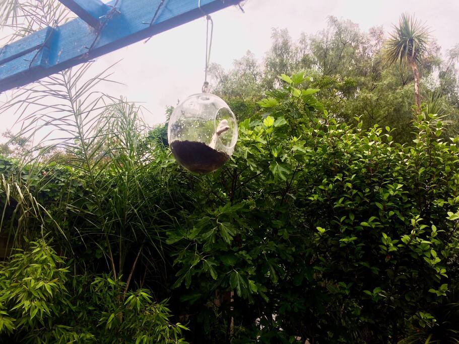 We love sitting at the outdoor bar taking a moment in a busy day to stare into nature and reenergise.