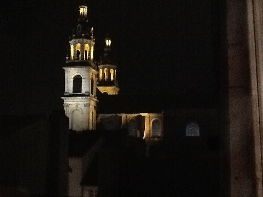 Private view on Nancy Cathedral from the Balcony (night
)