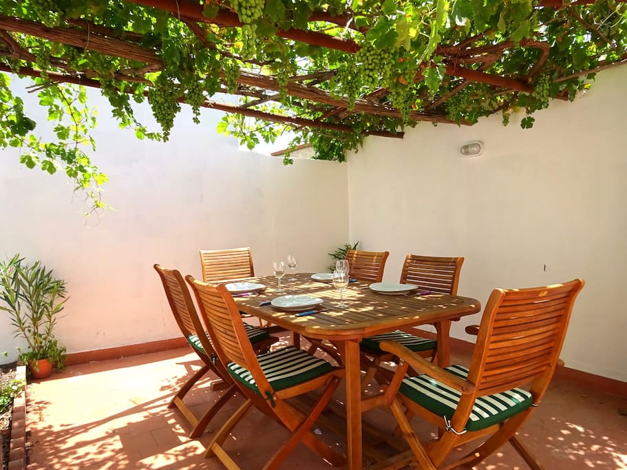 Lower terrace, with dinner table shaded by the vine and plenty of space for the BBQ.