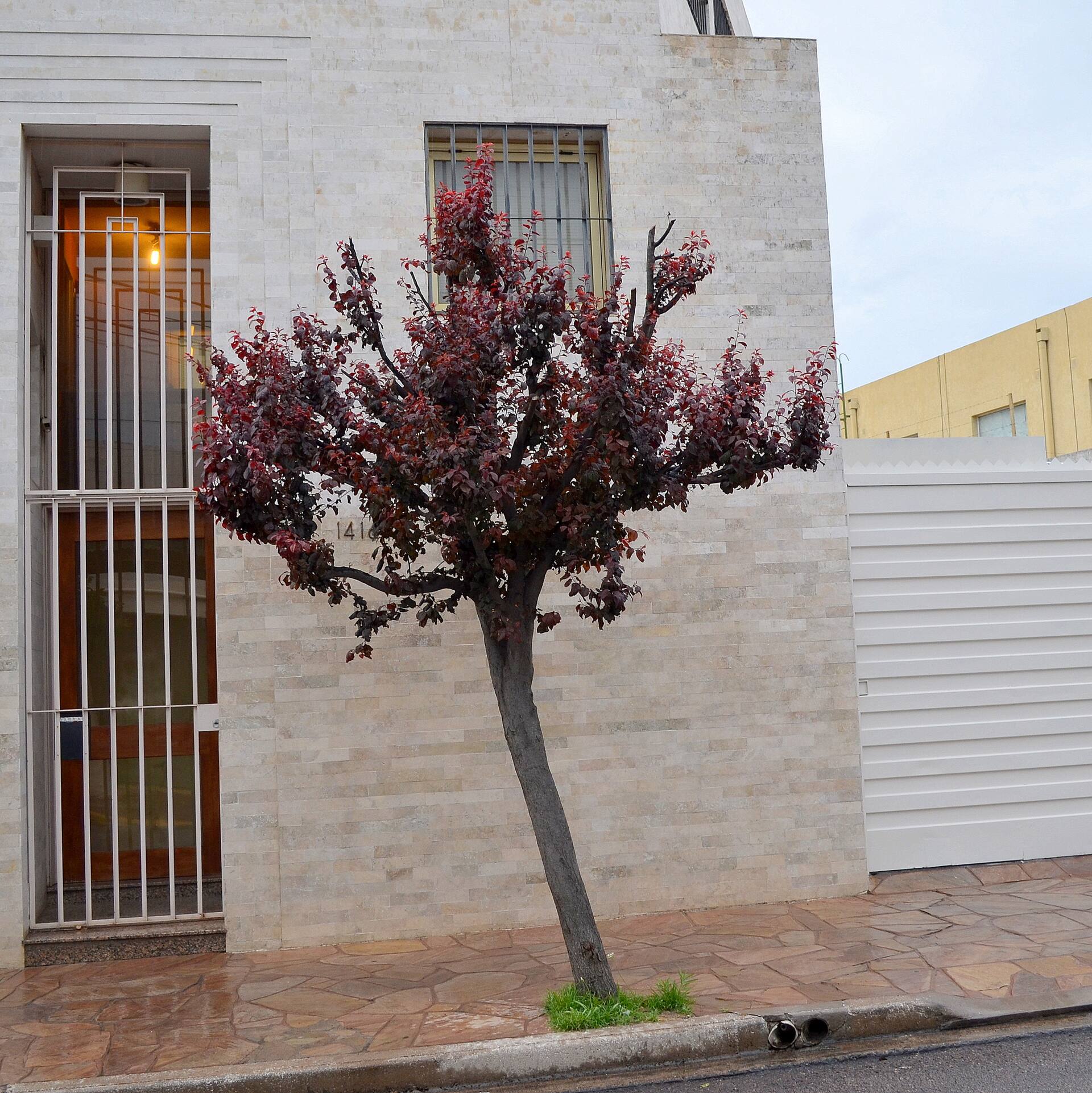 Vía Lavalle Suites