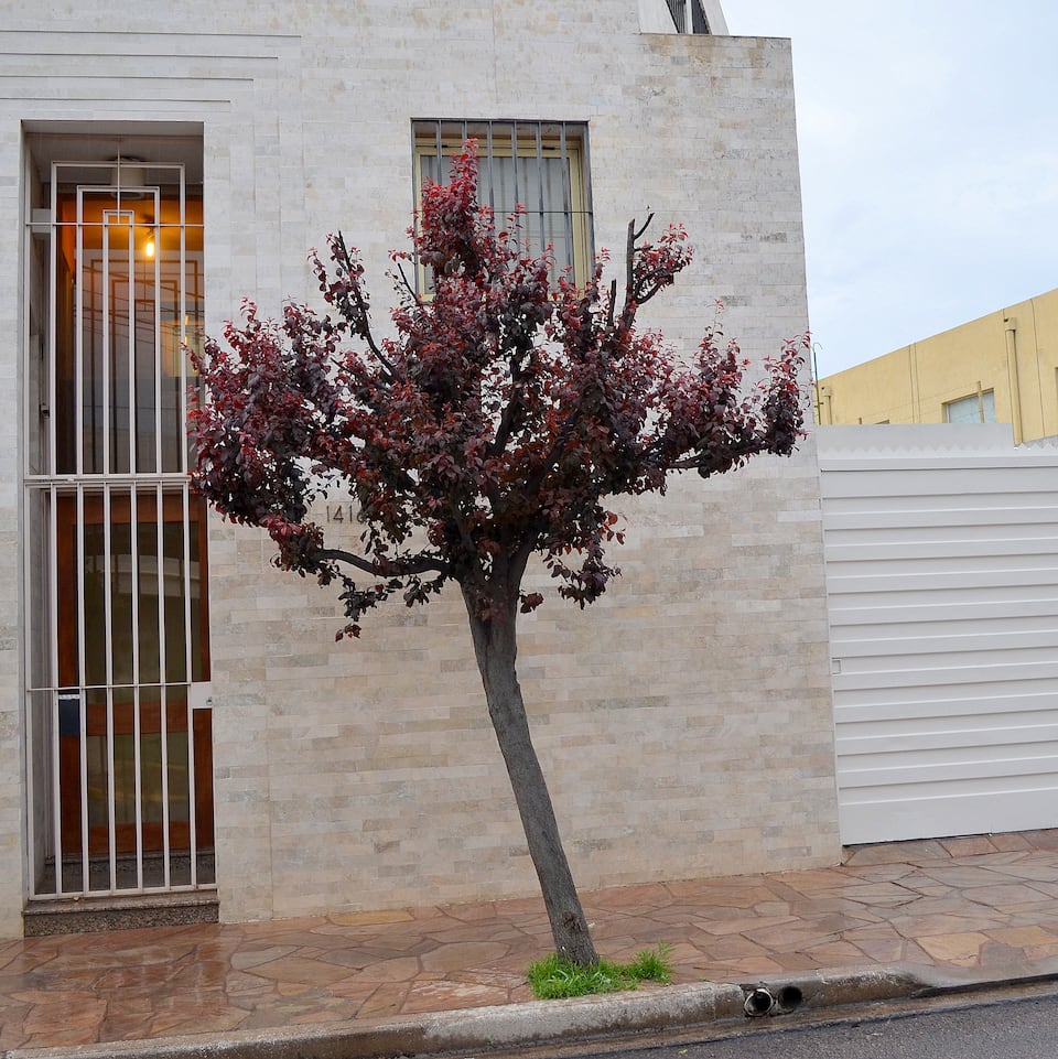 Vía Lavalle Suites — foto 1